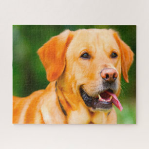 Labrador Dog. Legpuzzel