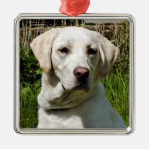 LABRADOR DOG METALEN ORNAMENT