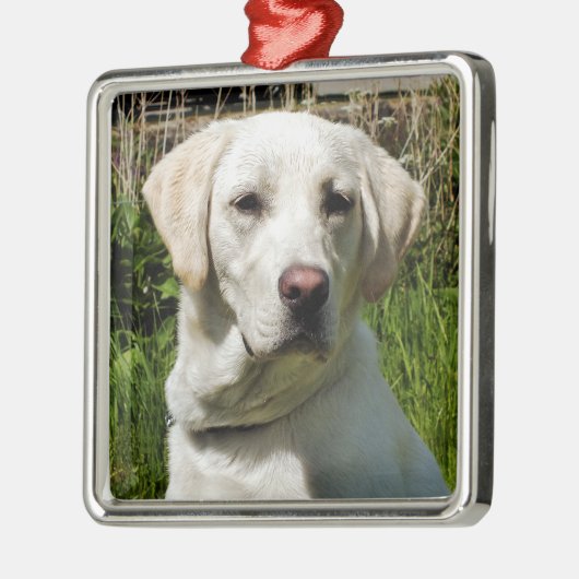 LABRADOR DOG METALEN ORNAMENT (Links)