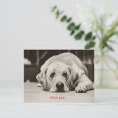 Labrador Dog Mis je briefkaart (Staand voorkant)