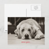 Labrador Dog Mis je briefkaart (Voorkant / Achterkant)