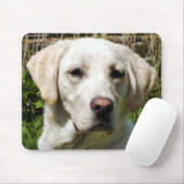 LABRADOR DOG MUISMAT (Met muis)