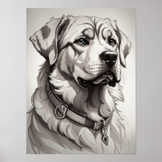 Labrador Dog Poster (Voorkant)