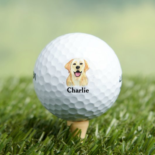 Labrador Dog Retriever Pet Schattige Puppy Monogra Golfballen (Insitu Shirt)