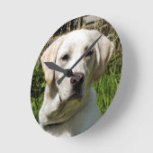 LABRADOR DOG RONDE KLOK (Hoek)