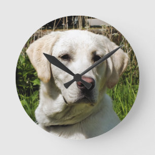 LABRADOR DOG RONDE KLOK