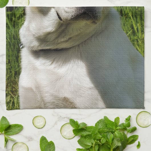 LABRADOR DOG THEEDOEK (Gevouwen)