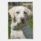 LABRADOR DOG THEEDOEK (Verticaal)