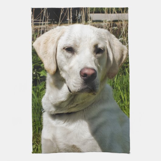 LABRADOR DOG THEEDOEK (Verticaal)