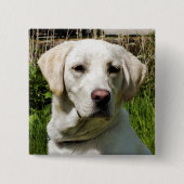LABRADOR DOG VIERKANTE BUTTON 5,1 CM (Voorkant)