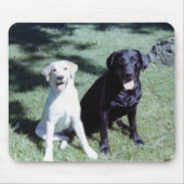 Labrador Dogs Muismat (Voorkant)
