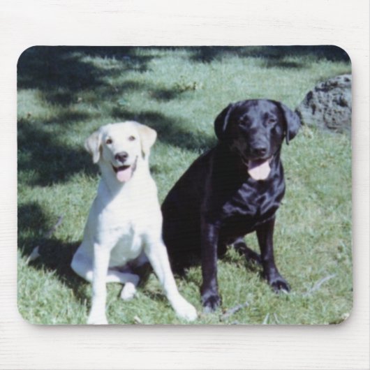 Labrador Dogs Muismat (Voorkant)