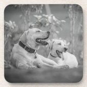 LABRADOR DOGS RELAXING BIER ONDERZETTER (Voorkant)