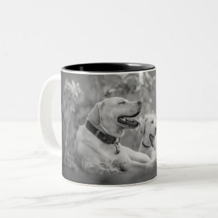 LABRADOR DOGS RELAXING TWEEKLEURIGE KOFFIEMOK