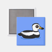 Labrador Duck (zwemmen) Magneet (Voorkant / Achterkant)