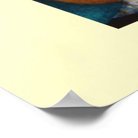 labrador duitse herderhond poster (Hoek)