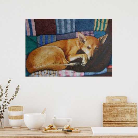 labrador duitse herderhond poster (Keuken)