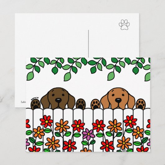 Labrador Duo die je Briefkaart ziet (Voorkant / Achterkant)