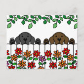 Labrador Duo die je Briefkaart ziet (Voorkant)