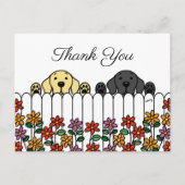 Labrador Duo die je kijkt Dank je Briefkaart (Voorkant)