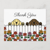 Labrador Duo die je kijkt Dank je Briefkaart (Voorkant)