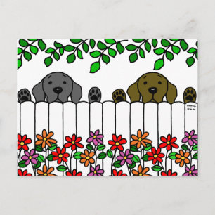 Labrador Duo die je ziet Briefkaart