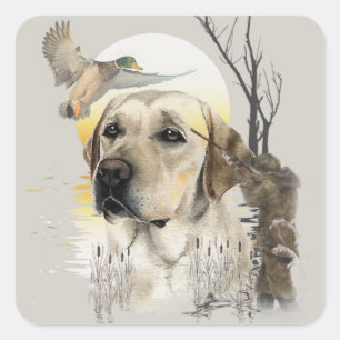 Labrador, eendenjacht vierkante sticker
