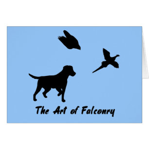 Labrador en Falconry