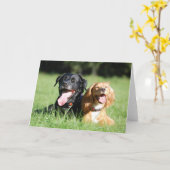 Labrador en het werken Cocker Spaniel Wenskaart Kaart (Gele Bloem)