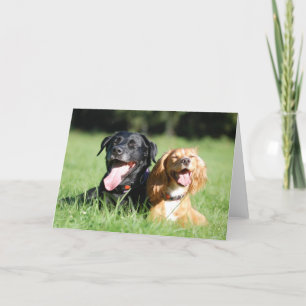 Labrador en het werken Cocker Spaniel Wenskaart Kaart