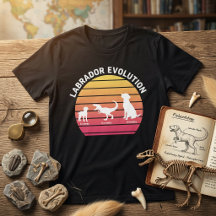 Labrador Evolutie Grappige Witte Silhouet Zonsonde
