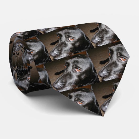 Labrador Eyes Stropdas (Opgerold)