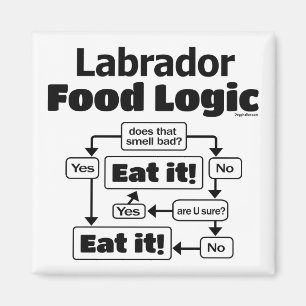 Labrador Food Logic Magneet