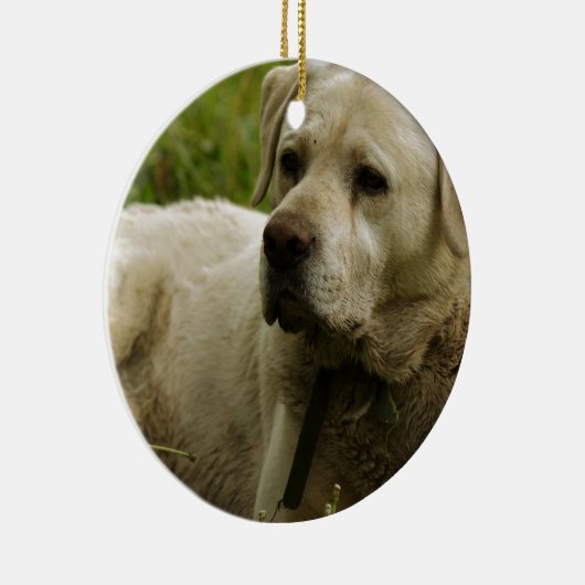 Labrador-foto Keramisch Ornament (Rechts)