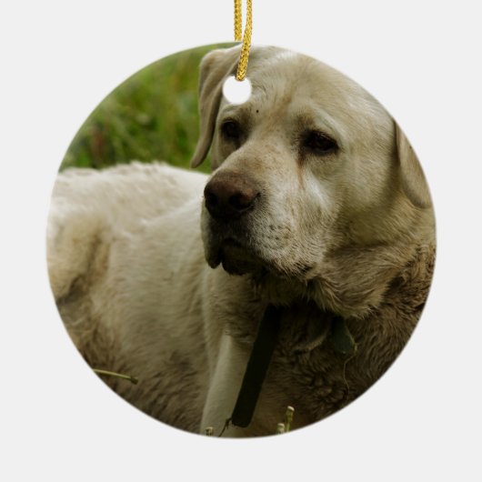 Labrador-foto Keramisch Ornament (Voorkant)