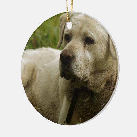 Labrador-foto Keramisch Ornament (Links)