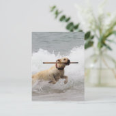 Labrador - Geel - Go Fetch! Briefkaart (Staand voorkant)