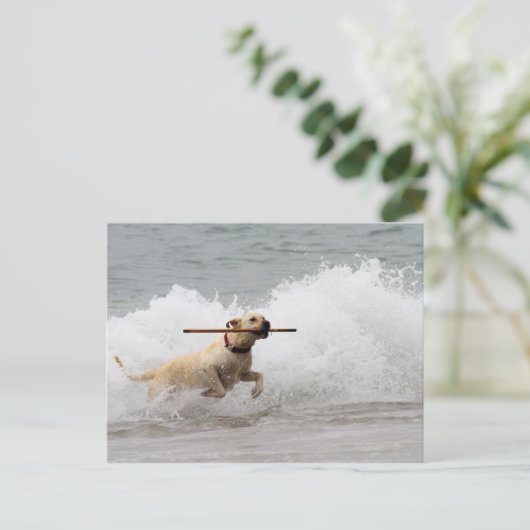 Labrador - Geel - Go Fetch! Briefkaart (Staand voorkant)