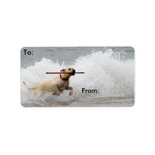 Labrador - Geel - Go Fetch! Etiket