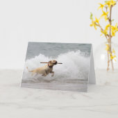 Labrador - Geel - Go Fetch! Kaart (Gele Bloem)