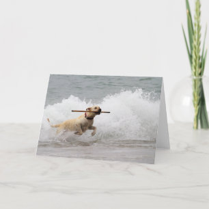 Labrador - Geel - Go Fetch! Kaart