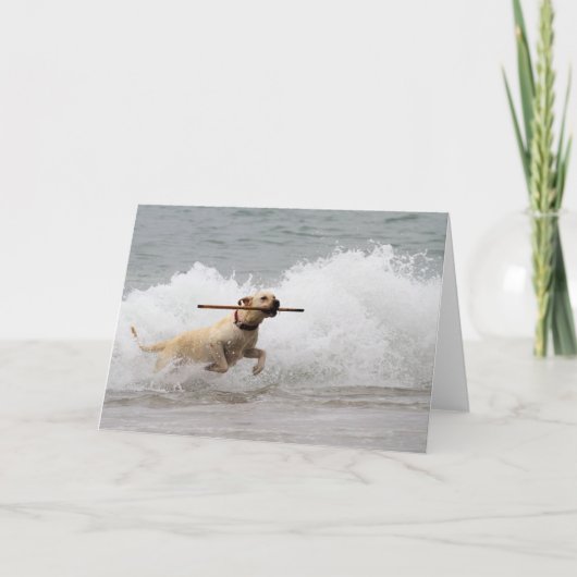 Labrador - Geel - Go Fetch! Kaart (Voorkant)