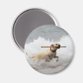 Labrador - Geel - Go Fetch! Magneet (Voorkant / Achterkant)