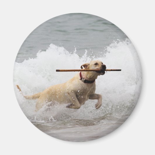 Labrador - Geel - Go Fetch! Magneet (Voorkant)