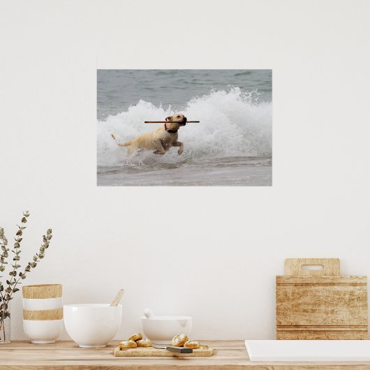 Labrador - Geel - Go Fetch! Poster (Keuken)