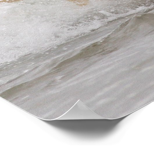 Labrador - Geel - Go Fetch! Poster (Hoek)