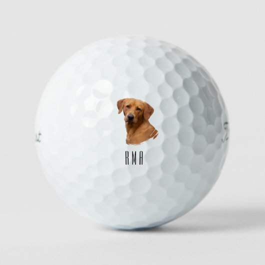 Labrador Gele Lab Golfballen (Voorkant)