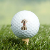 Labrador Golf Balls Golfballen (Insitu Shirt)