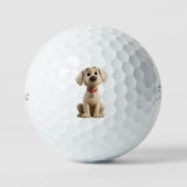 Labrador Golf Balls Golfballen (Voorkant)
