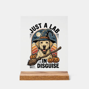 Labrador Halloween T-shirt Vintage Heks Hond Kostu Acryl Bord
